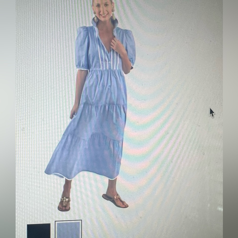 NEat Gretchen Scott Dress with pockets!